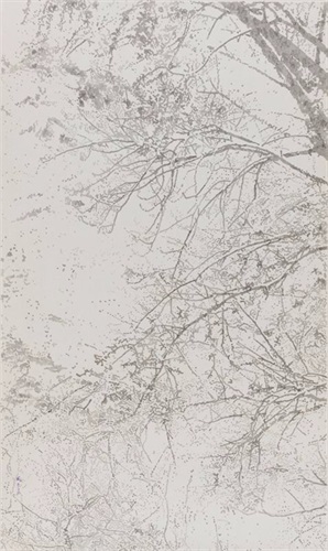 《听雪25》